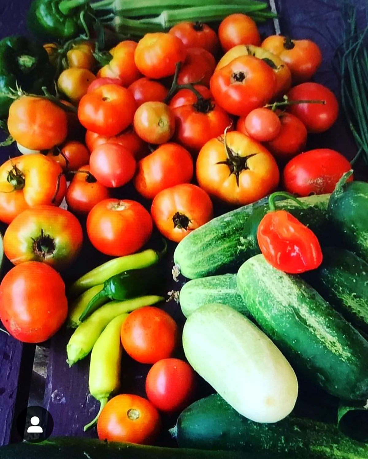 Tomatoes and cucumbers from the community garden