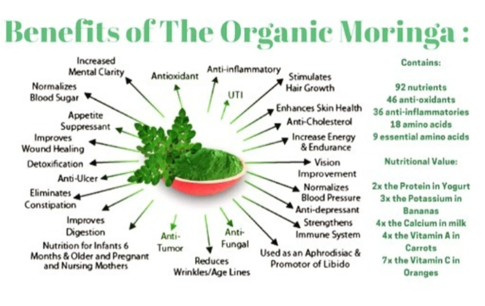 Chart of the benefits of organic moringa, listing effects such as increased mental clarity, normalized blood sugar, improved digestion and immune support, alongside its nutrient content
