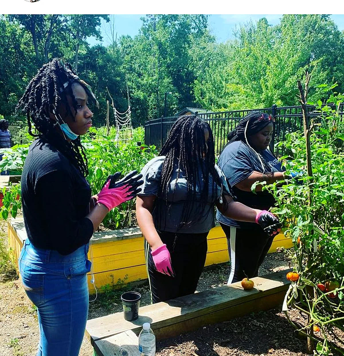 Volunteers tending the garden beds together